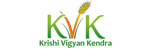 kvk